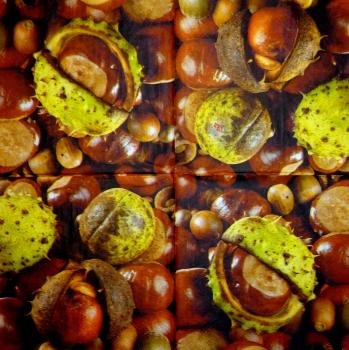 233 Herbst - 3-lagig - Ihr